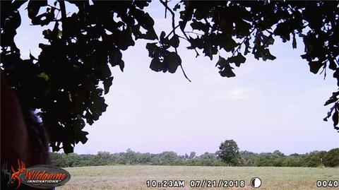 451 Switchgrass Way, Newcastle, OK 73065 photo 23
