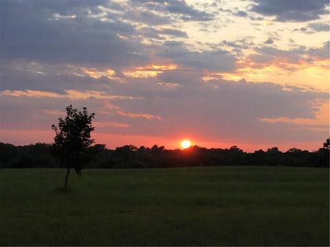 451 Switchgrass Way, Newcastle, OK 73065 photo 26