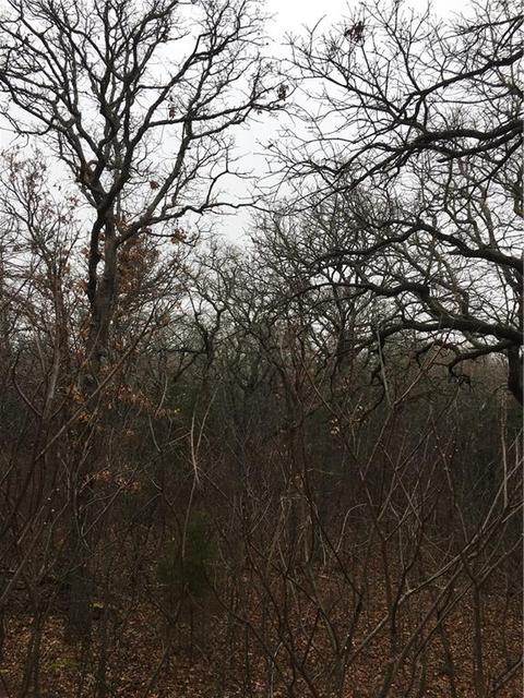 10130 N Harrah Rd, Harrah, OK 73045 photo 7