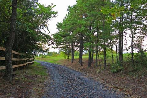 3129 Joe Ford Rd, Watson, OK 74963 photo 29