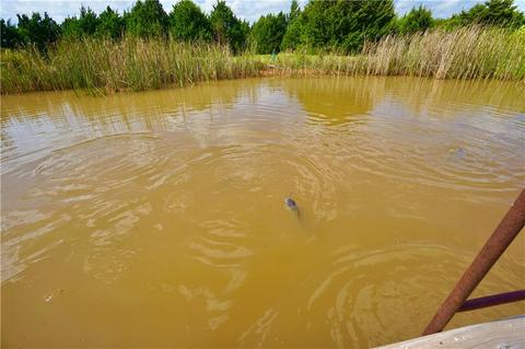 3801 Cramer Rd, Spencer, OK 73084 photo 4