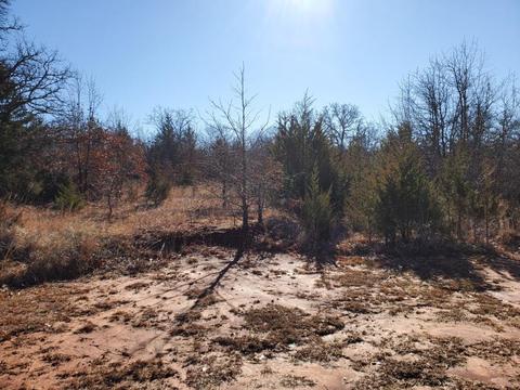 20724 SE 134th St, Mcloud, OK 74851 photo 10