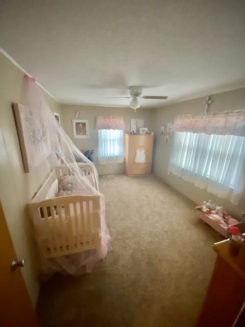 205 E Sixth St, Wanette, OK 74878 photo 15