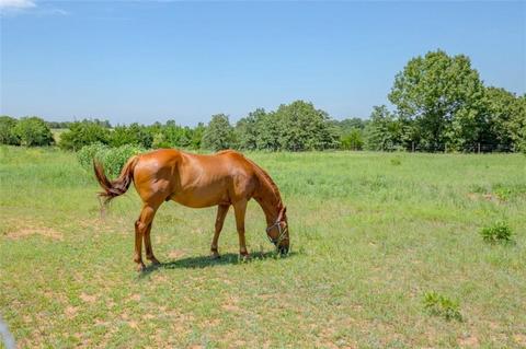 105532 S 3343 Rd, Mcloud, OK 74851 photo 34