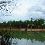 268 Stone Pine Ln, Broken Bow, OK 74728 photo 20