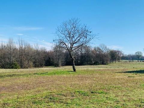 978 Boss Rd, Idabel, OK 74745 photo 34