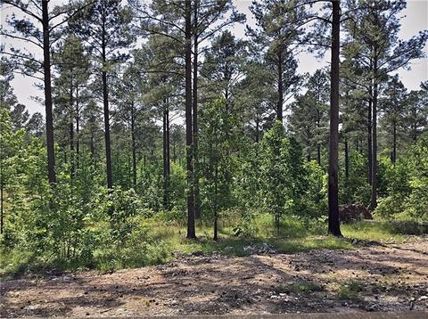 489 W Eagle Mountain Trl, Broken Bow, OK 74728 photo 24