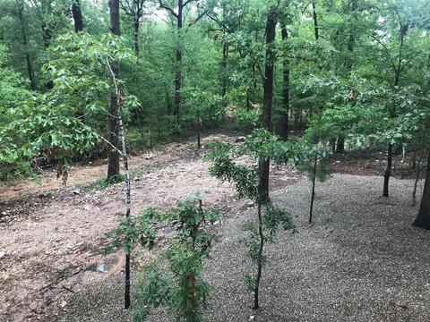 25 Catfish Rd, Broken Bow, OK 74728 photo 7
