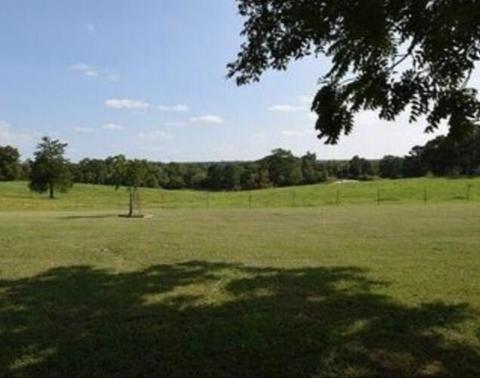 254 Grayling Ln, Watson, OK 74963 photo 15