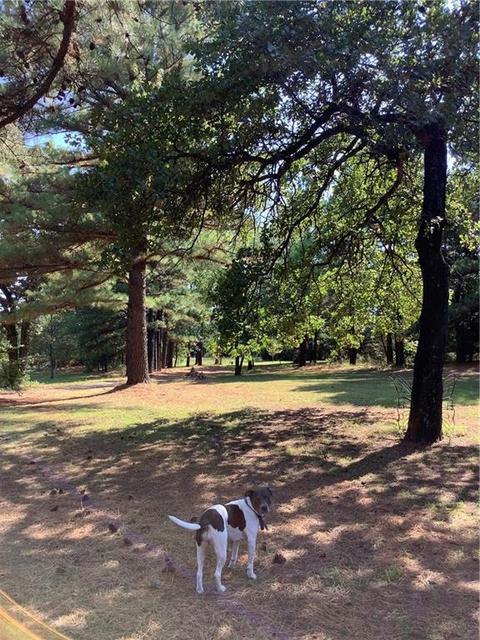 20641 Stevens Rd, Tecumseh, OK 74873 photo 5