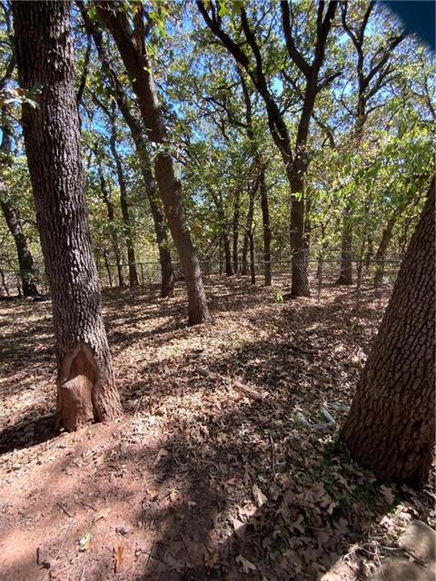 19409 Walker Rd, Mcloud, OK 74851 photo 23