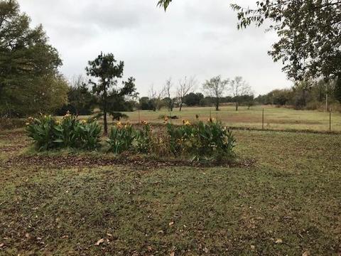 13622 Ropers Ave, Wayne, OK 73095 photo 16