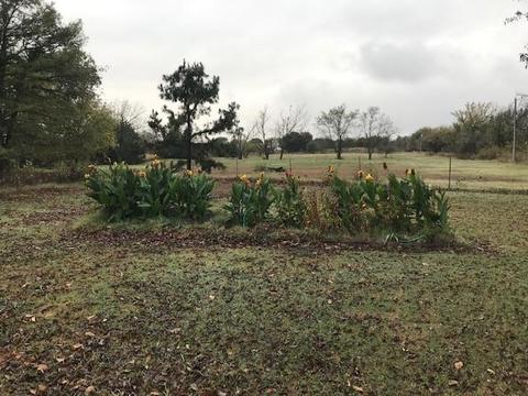 13622 Ropers Ave, Wayne, OK 73095 photo 6