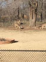 129 Englebretson Ln, Tuttle, OK 73089 photo 33