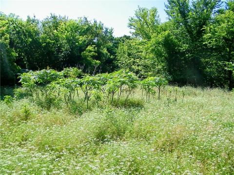2000 E Triplett Rd, Guthrie, OK 73044 photo 13