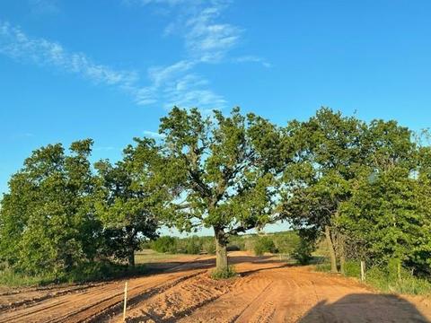 2002 Ethans Roar Rd, Blanchard, OK 73010 photo 1