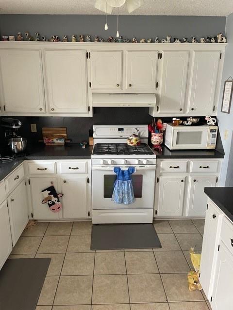 402 Riverview Dr, Noble, OK 73068 photo 5
