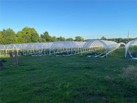 24414 E Mcelroy Rd, Yale, OK 74085 photo 2