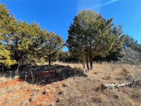 9101 Dan Dr, Noble, OK 73068 photo 13