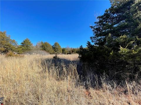9101 Dan Dr, Noble, OK 73068 photo 10