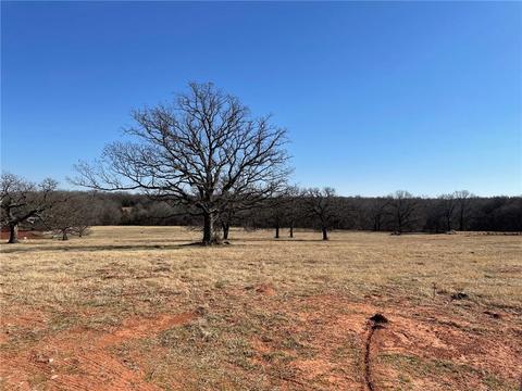 32125 Leo Rd, Macomb, OK 74852 photo 5