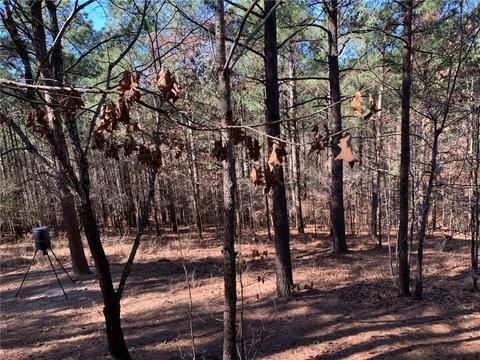73 Oxbow Ln, Broken Bow, OK 74728 photo 5