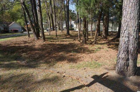 59 Redwing Court, Pawleys Island, SC 29585