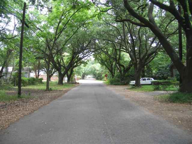 302 Palm St, Georgetown, SC 29440 photo 6