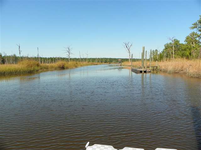 39 Fiddlers Loop, Georgetown, SC 29440 photo 15