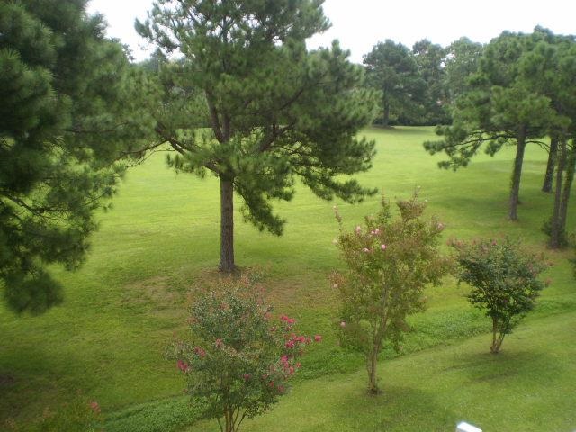205 Double Eagle Dr #d-3, Myrtle Beach, SC 29575 photo 23