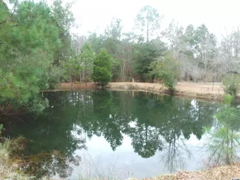 231 Kent Rd, Georgetown, SC 29440 photo 18