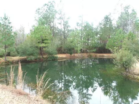 231 Kent Rd, Georgetown, SC 29440 photo 20