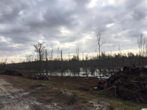 Tbd Highway 378, Johnsonville, SC 29555