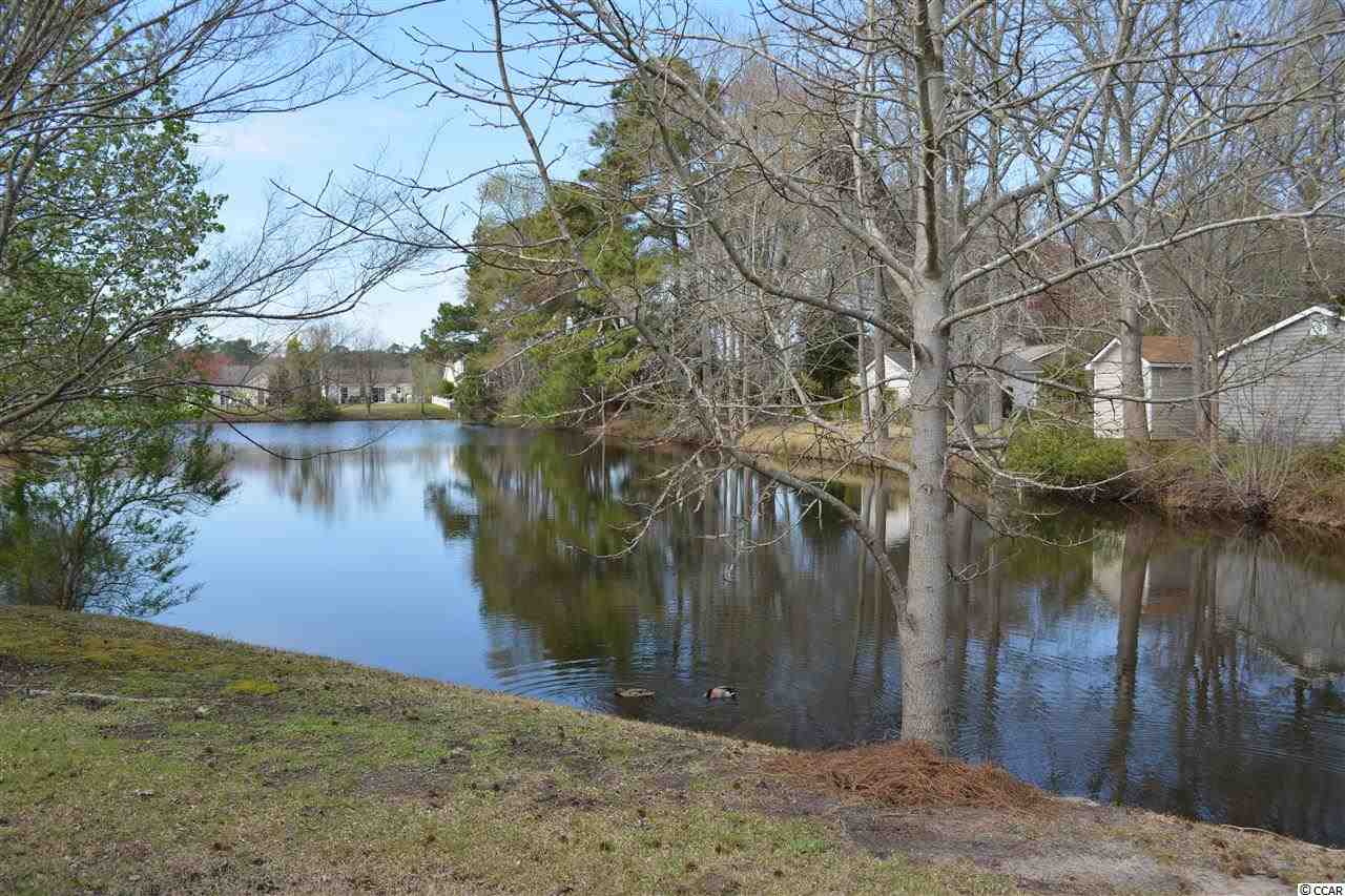 2003 Ocean Way, Surfside Beach, SC 29575 photo 3