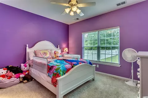 2921 Red Bluff Rd, Loris, SC 29569 photo 17