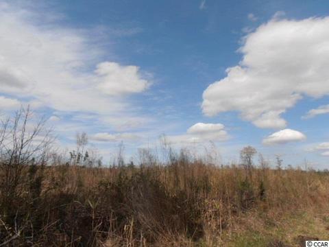 10 Deas Hill Rd, Mcclellanville, SC 29458