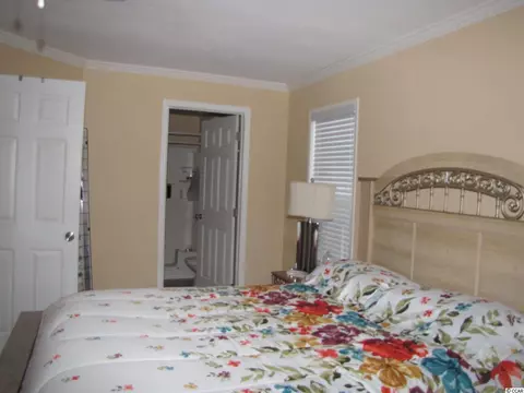 817 Windemere Ct, Conway, SC 29526 photo 13