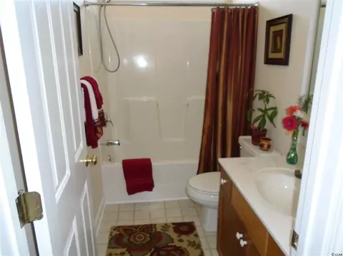 654 Wintercreeper Dr, Longs, SC 29568 photo 9