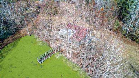 tbd E Bear Grass Rd, Longs, SC 29568 photo 6