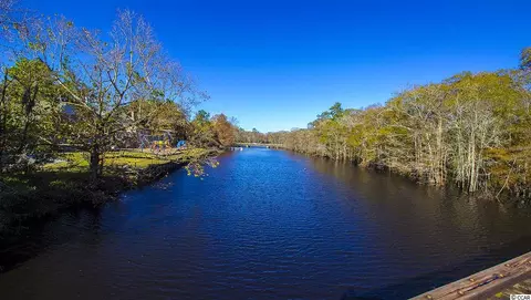 3203 Holly Loop, Conway, SC 29527 photo 29