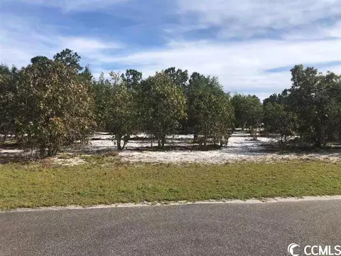 Tbd Francis Marion Dr., Georgetown, SC 29440