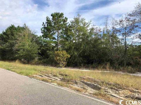 Tbd Francis Marion Dr., Georgetown, SC 29440
