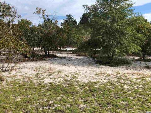 Tbd Francis Marion Dr., Georgetown, SC 29440