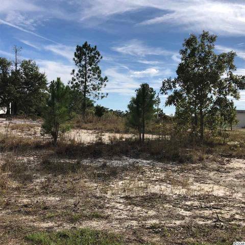 Tbd Francis Marion Dr., Georgetown, SC 29440