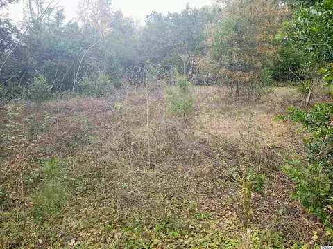 1214 E Hudson St, Dillon, SC 29536 photo 18
