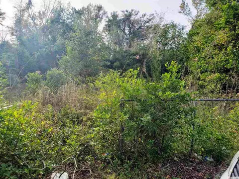 1214 E Hudson St, Dillon, SC 29536 photo 5