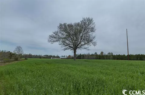 Tbd Busy Corner Rd., Conway, SC 29527