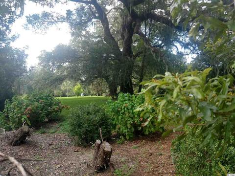235 Tradd Rd, Georgetown, SC 29440 photo 6