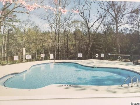248 Dunbarton Ln, Conway, SC 29526 photo 6