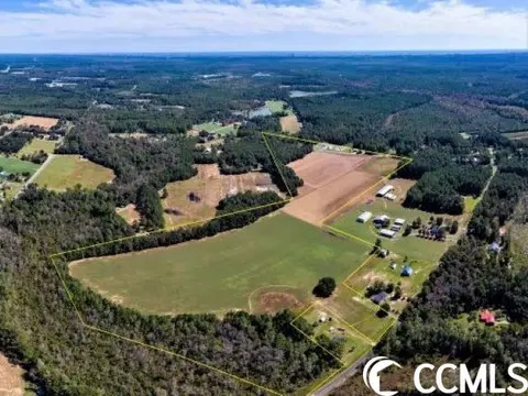 Tbd Bear Bluff Rd., Conway, SC 29526 photo 5